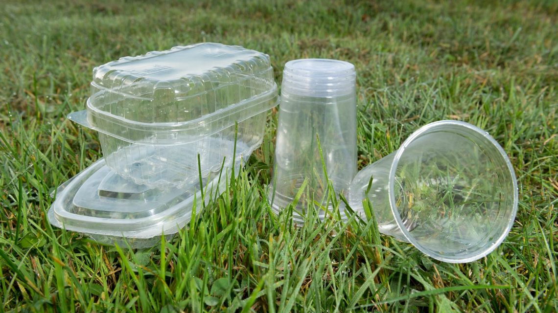 Plastic trays in the grass